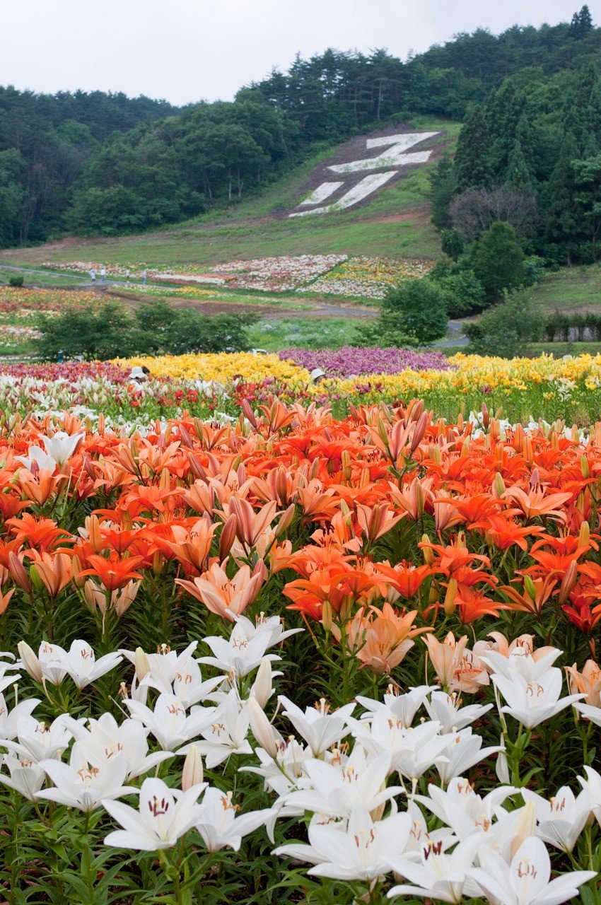 🏂 스프링 밸리 센다이 이즈미 스키장 이미지 9